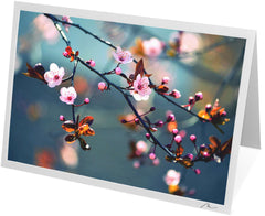 C0300 - Beautiful Japanese Cherry Flowers (Sakura)