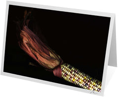 C0509 - Corn Maize