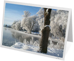 C0625 - Snow Covered Trees